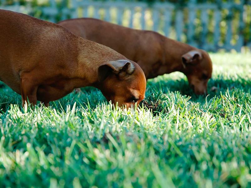 sudoku game online screenshot 1